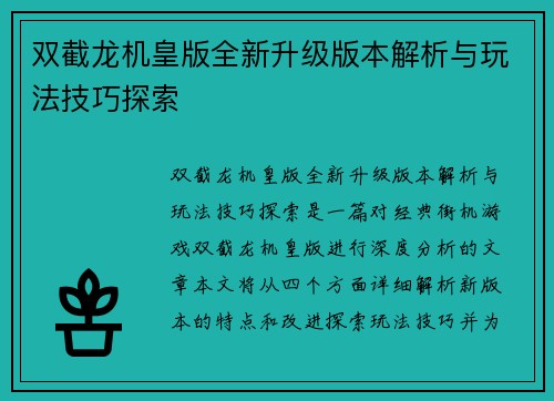双截龙机皇版全新升级版本解析与玩法技巧探索