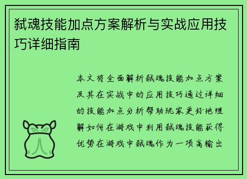 弑魂技能加点方案解析与实战应用技巧详细指南